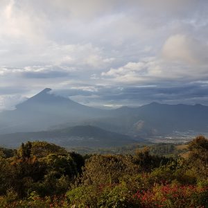 Volcan Agua from the slopes of Volcan Pacaya, Guatemala