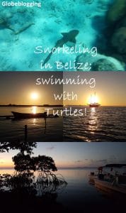 Snorkeling in Belize, swimming with sharks and turtles