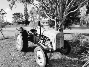 Abandoned tractor at Wilderness Cottages, Hunter Valley