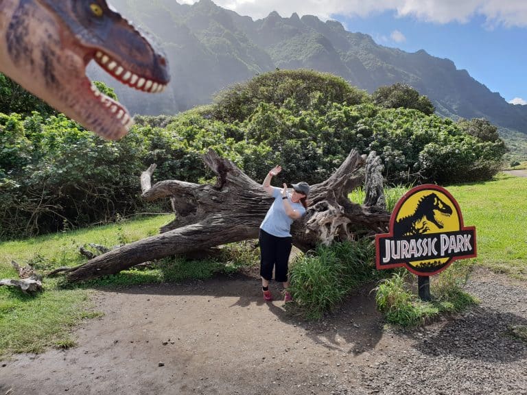 Cowering from a dinosaur behind the stump famously featured in Jurassic Park, Kualoa Ranch Oahu