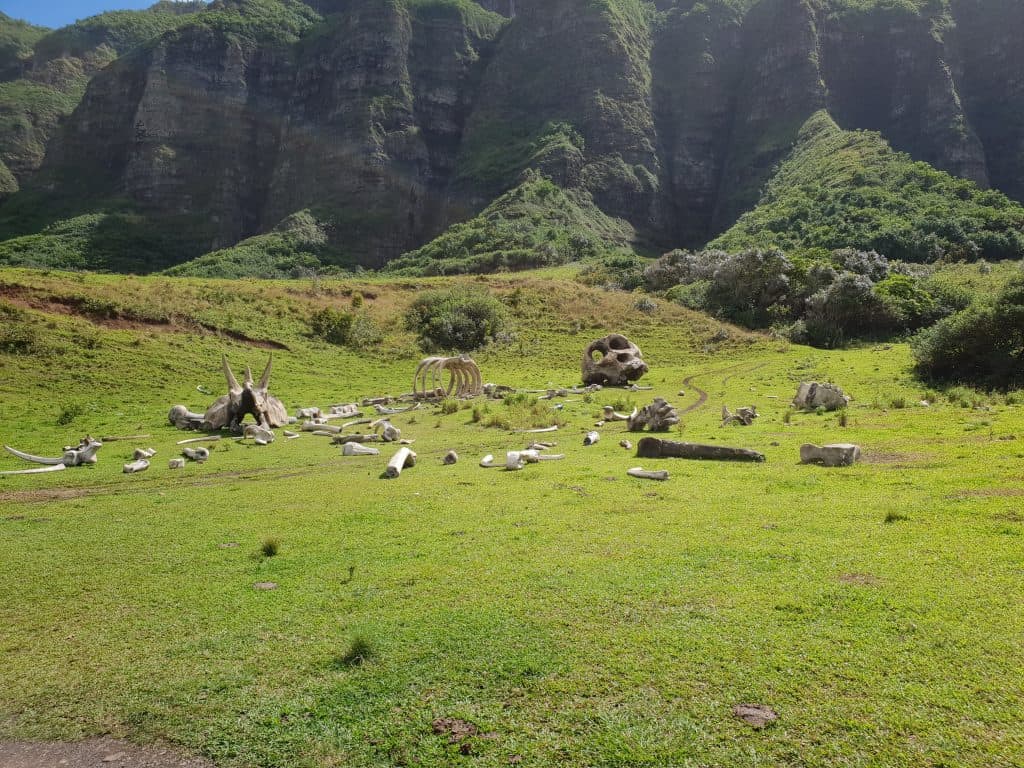 Field of bones from King Kong, Kualoa Ranch Oahu