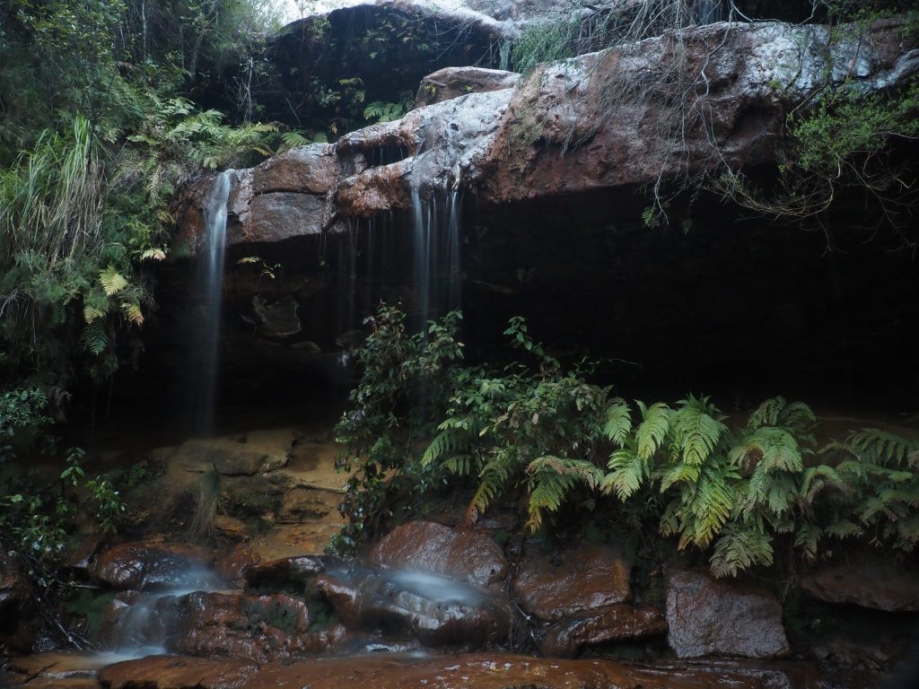 Fairy Falls in North Lawson Park is a short detour from the path to Dantes Glen