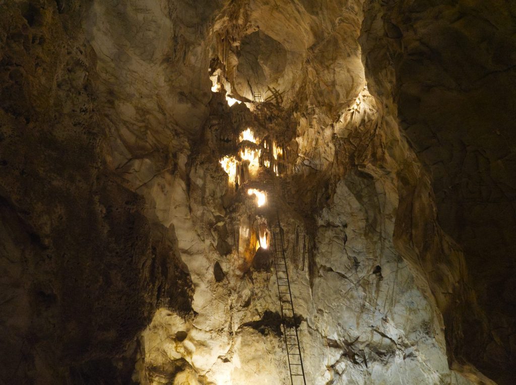 The Cathedral Chamber in the Lucas Cave at Jenolan Caves. A large ladder stretches from floor to the ceiling over 50m above