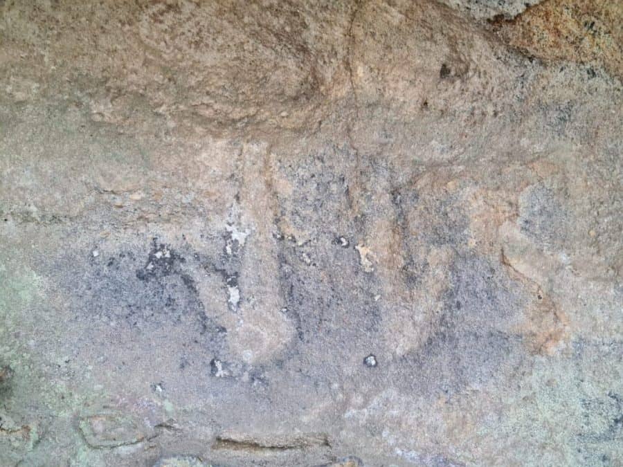 Pair of Macropod tracks carved into the rock wall of Aboriginal shelter on Kings Tableland