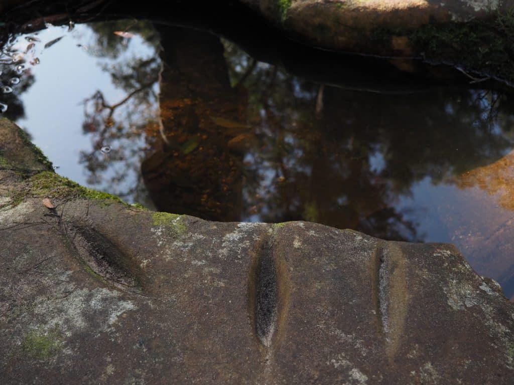 Image shows three deep grinding grooves in the sandstone bed of Campfire Creek in Glenbrook. The grooves were made by Aboriginal people sharpening and making tools.