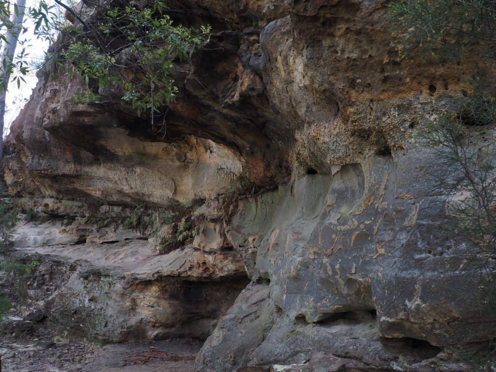 Rock shelter on Kings Tableland which features animal track carvings carved by Aboriginals into the walls