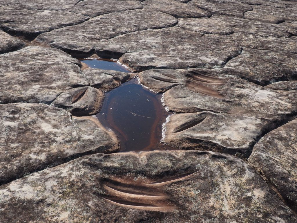 Grinding grooves beside waterhole on the rock platform of Kings Tableland